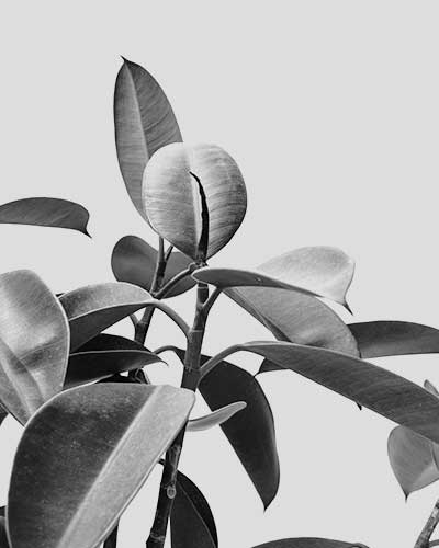 service1.jpg Service1